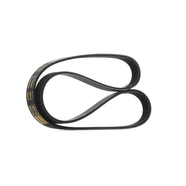 Multiriem (305P0212P) van RIDEX PLUS Voor RENAULT CLIO II (BB0/1/2_, CB0/1/2_) 1.5 dCi (42 KW / 57 PK / Van 2001)