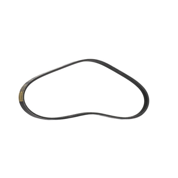 RIDEX PLUS Correia trapezoidal estriada (305P0013P) para HONDA CIVIC VI Aerodeck (MB, MC) 1.4 16V (MB8) (55 KW / 75 CV / de 1998)