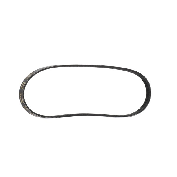 RIDEX PLUS Correia trapezoidal estriada (305P0012P) para HONDA CIVIC VI Aerodeck (MB, MC) 1.4 16V (MB8) (55 KW / 75 CV / de 1998)