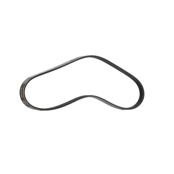 Multiriem (305P0015P) van RIDEX PLUS Voor CITROËN Berlingo / Berlingo First (MF, GJK, GFK) 1.4 i (MFKFX, MFKFW, GJKFWB, GJKFWC, GFKFWC) (55 KW / 75 PK / Van 1996)
