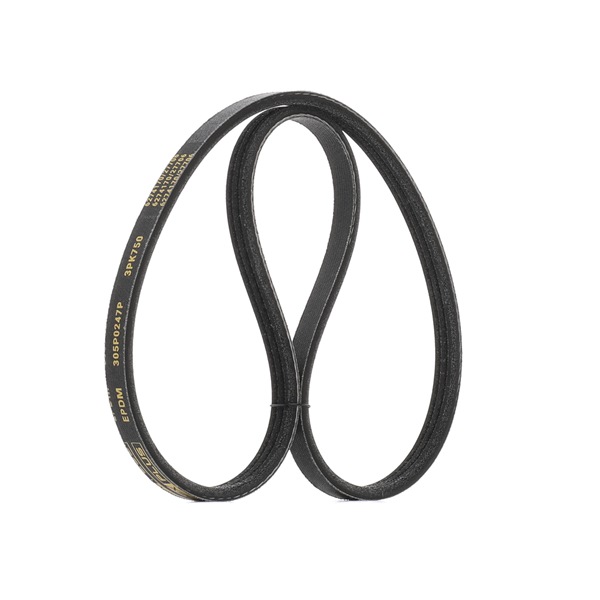 Multiriem (305P0247P) van RIDEX PLUS Voor RENAULT CLIO II (BB0/1/2_, CB0/1/2_) 1.2 (BB0A, BB0F, BB10, BB1K, BB28, BB2D, BB2H, CB0A,... (43 KW / 58 PK / Van 1998)