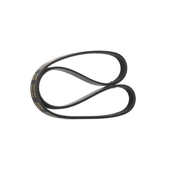 OEM 4483174 RIDEX PLUS Courroie Poly-V 305P0187P pour FIAT, KIA, HYUNDAI, ALFA ROMEO, HONDA