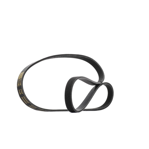 Multiriem (305P0500P) van RIDEX PLUS Voor OPEL Corsa C Hatchback (X01) 1.2 (F08, F68) (55 KW / 75 PK / Van 2000)