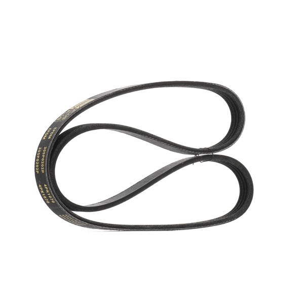 OEM 9936421070 RIDEX PLUS Moniurahihna 305P0202P varten TOYOTA, RENAULT, LEXUS, RENAULT TRUCKS, WIESMANN