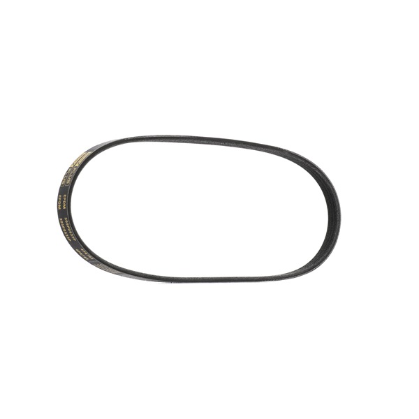 RIDEX PLUS Correia trapezoidal estriada (305P0533P) para HONDA CIVIC VI Aerodeck (MB, MC) 1.4 16V (MB8) (55 KW / 75 CV / de 1998)