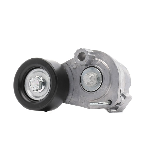 OEM 25189926 RIDEX PLUS Polea tensora, correa poli V 310T0140P para OPEL, FIAT, SKODA, CHEVROLET, ALFA ROMEO
