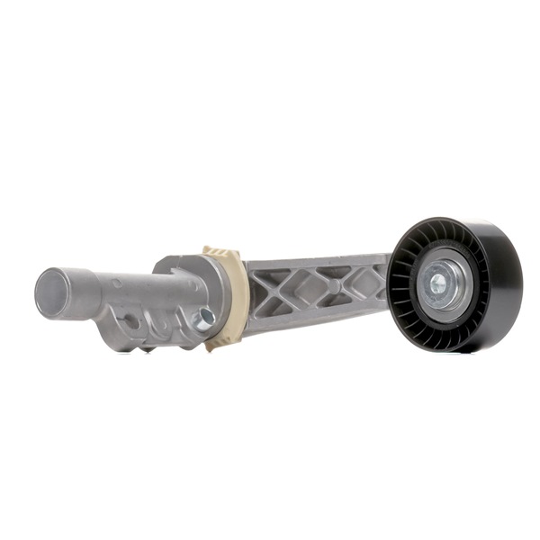 RIDEX PLUS Spannrolle, Keilrippenriemen (310T0233P) von Ihrem MINI Schrägheck (R56) One (55 KW / 75 PS / ab 2010)