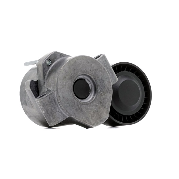 OEM 9658142780 RIDEX PLUS Polea tensora, correa poli V 310T0289P para VOLKSWAGEN, PEUGEOT, FORD, CITROЁN, FIAT