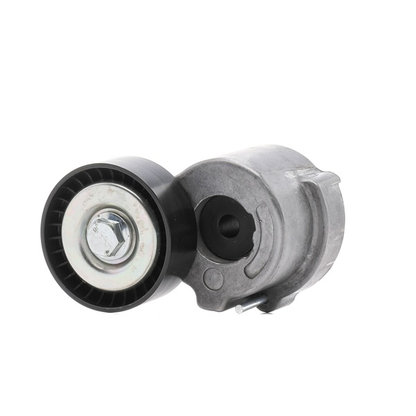 RENEGADE Tensioner pulley 310T0059P RIDEX PLUS