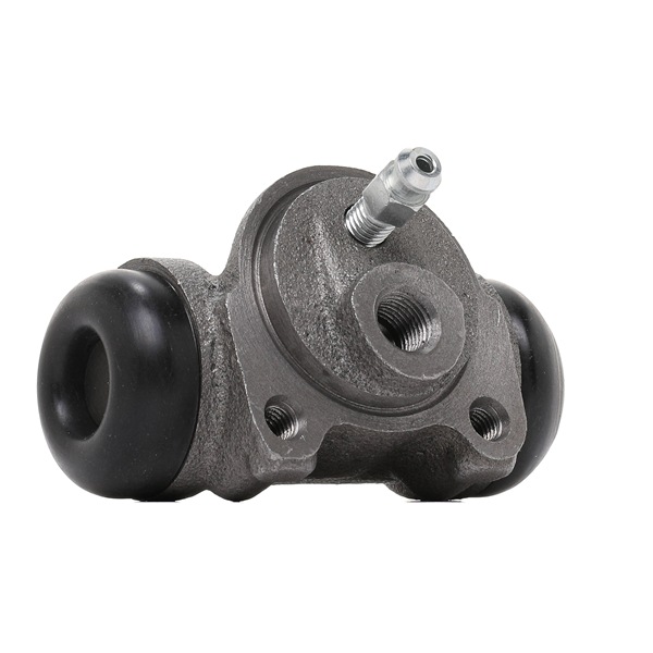 NOVA Cilindro do travão da roda BWH169 TRW