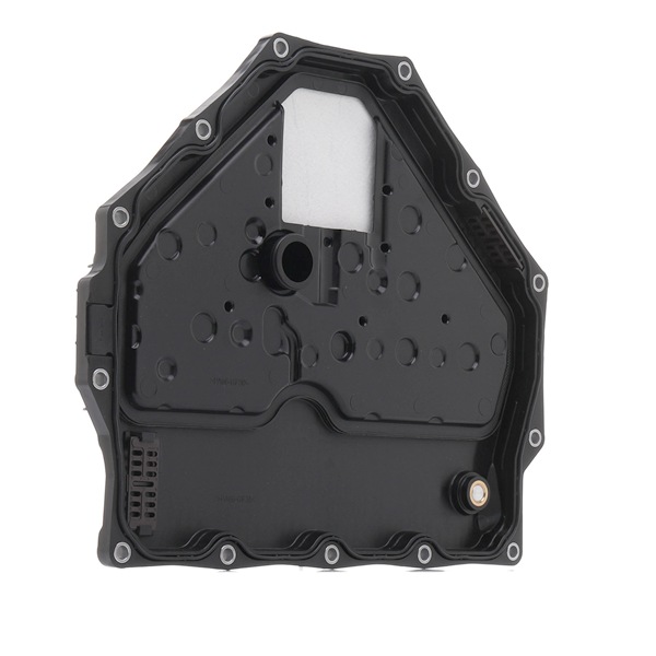 HENGST FILTER Automatlådefilter HG111H D842