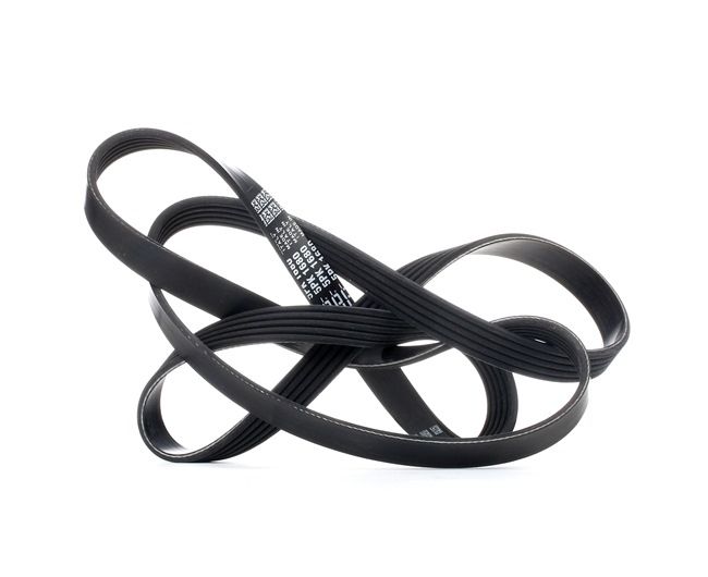 Kjøp Multireim - DAYCO (5PK1680)
