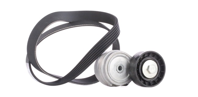 DAYCO Multiriem KPV038