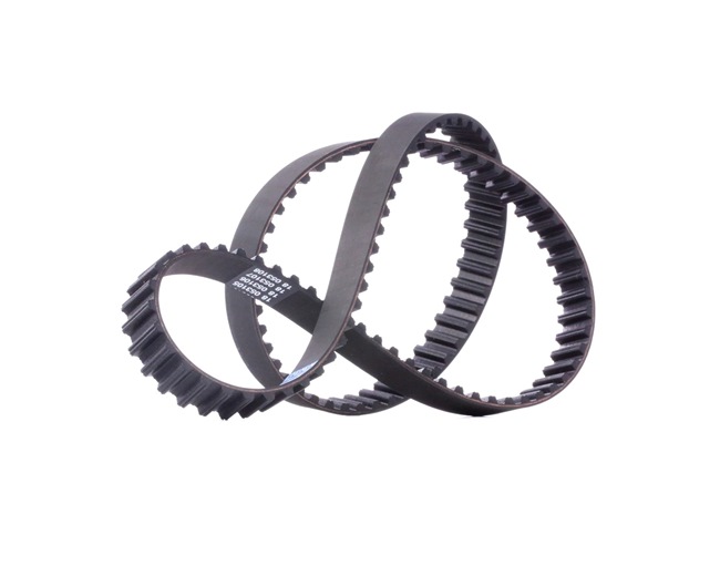 DAYCO Courroie de distribution (94688) pour FORD Fiesta Mk4 3/5 portes (JAS, JBS) 1.8 D (44 KW / 60 CH / de 1995)