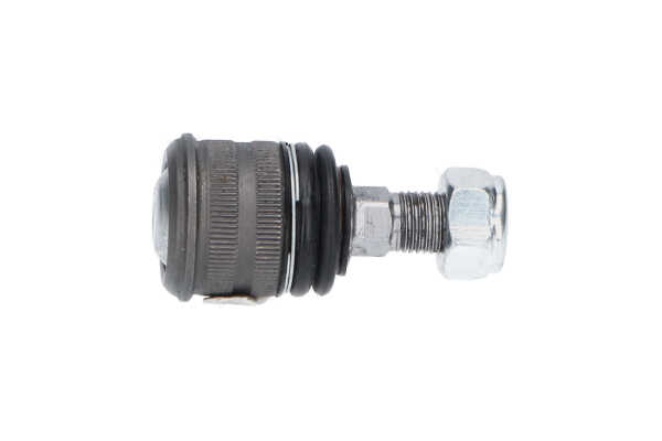 OEM 2113230068 KAVO PARTS Testina braccio oscillante SBJ-10062 per MERCEDES-BENZ, NISSAN, SKODA, SMART