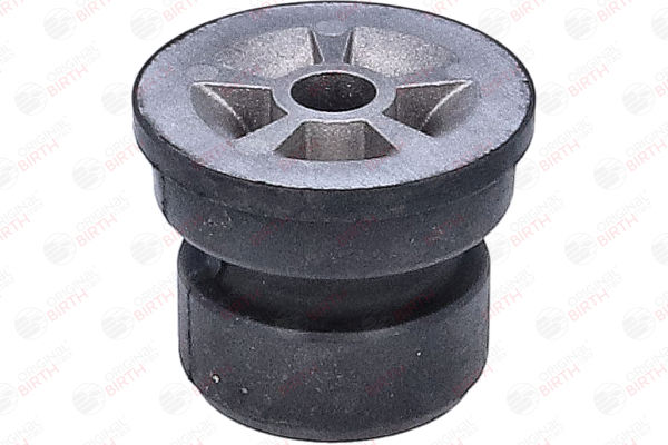 OEM 513152 BIRTH Akselinripustus 53927 varten PEUGEOT, CITROЁN, DS