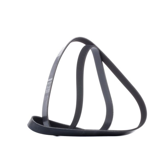 ATLAS Multiriem 6PK1613 DAYCO