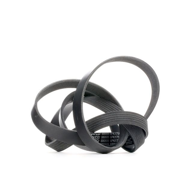 DAYCO Cinghia servizi 6PK1750