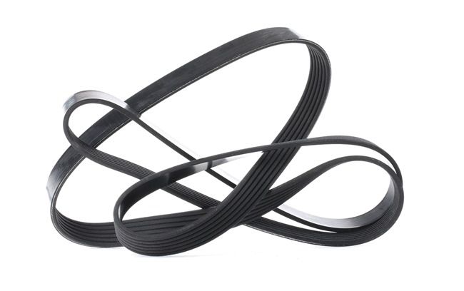 NOVA Courroie Poly-V 6PK1805 DAYCO