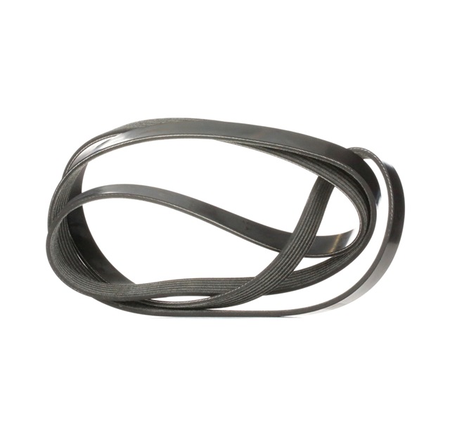 Kjøp Multireim - DAYCO (6PK1815S)