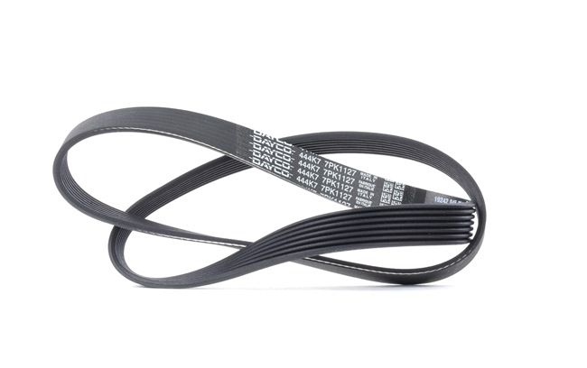 OEM 117201KT0A DAYCO Moniurahihna 7PK1127 varten NISSAN, RENAULT, INFINITI