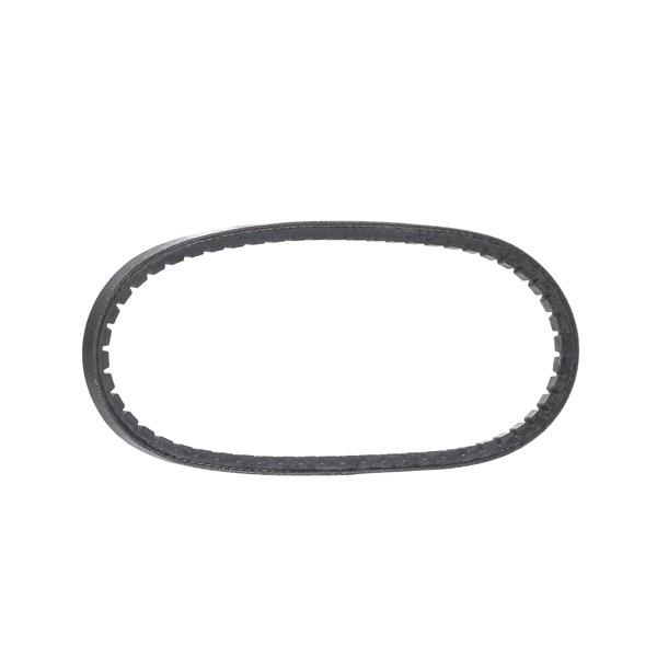 Kiilahihna 10A0595C alkaen DAYCO
