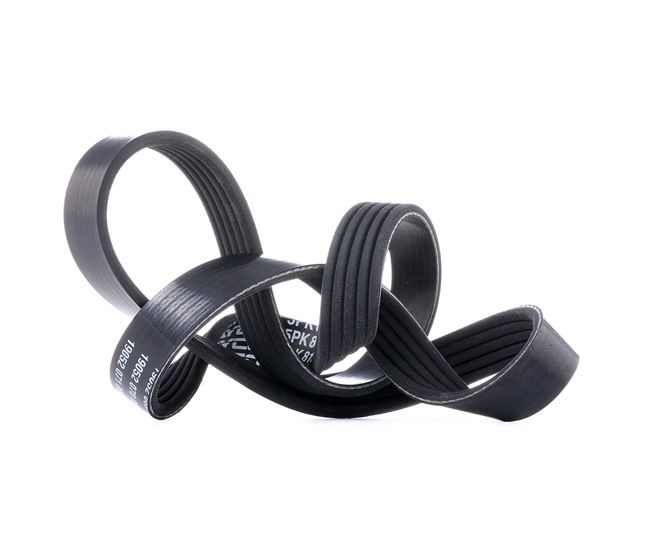 Kjøp Multireim - DAYCO (5PK810)