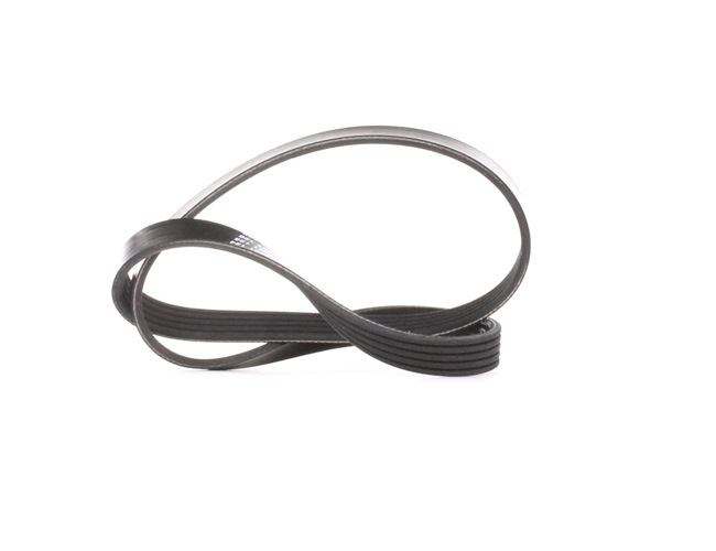 OEM 1340678 DAYCO Multiriem 5PK880 voor OPEL, CHEVROLET, VAUXHALL