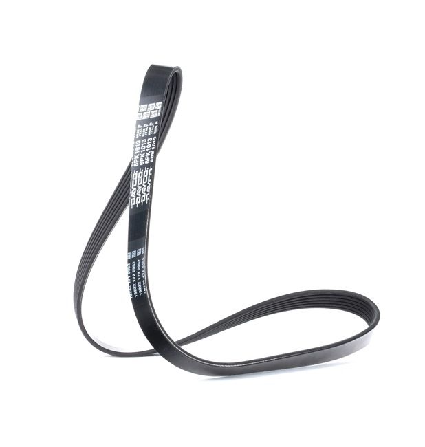 Multireim 6PK1013 fra DAYCO