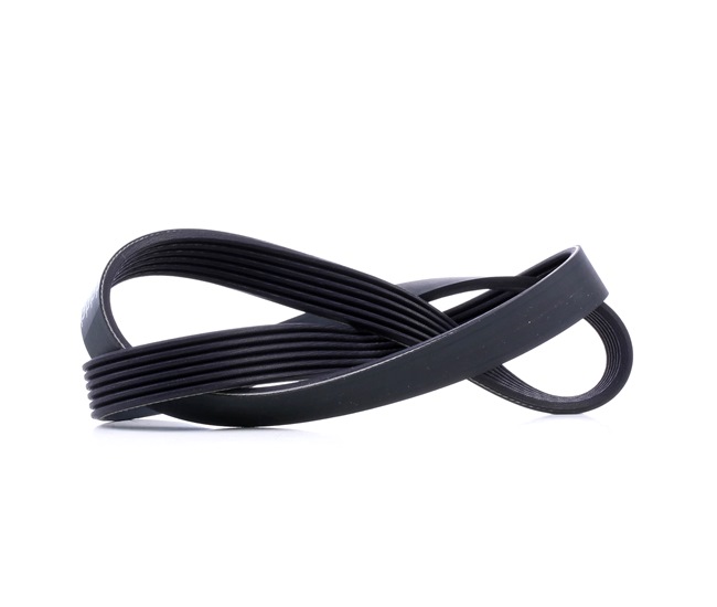 DAYCO Multiriem 6PK1033 voor CUPRA