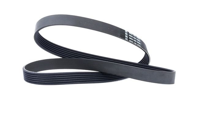 ARENA Courroie Poly-V 6PK1137 DAYCO