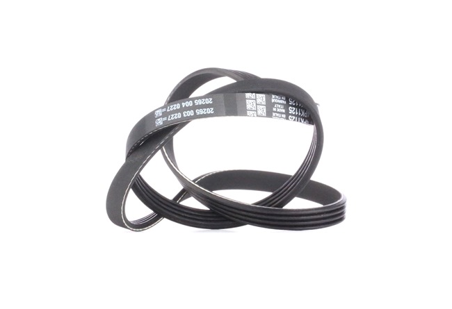 DAYCO Kileribberem 4PK1125