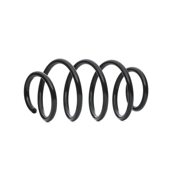 OEM 1K0411105JB LESJÖFORS Fjær 4085718 for VW, SKODA, LAND ROVER, SEAT