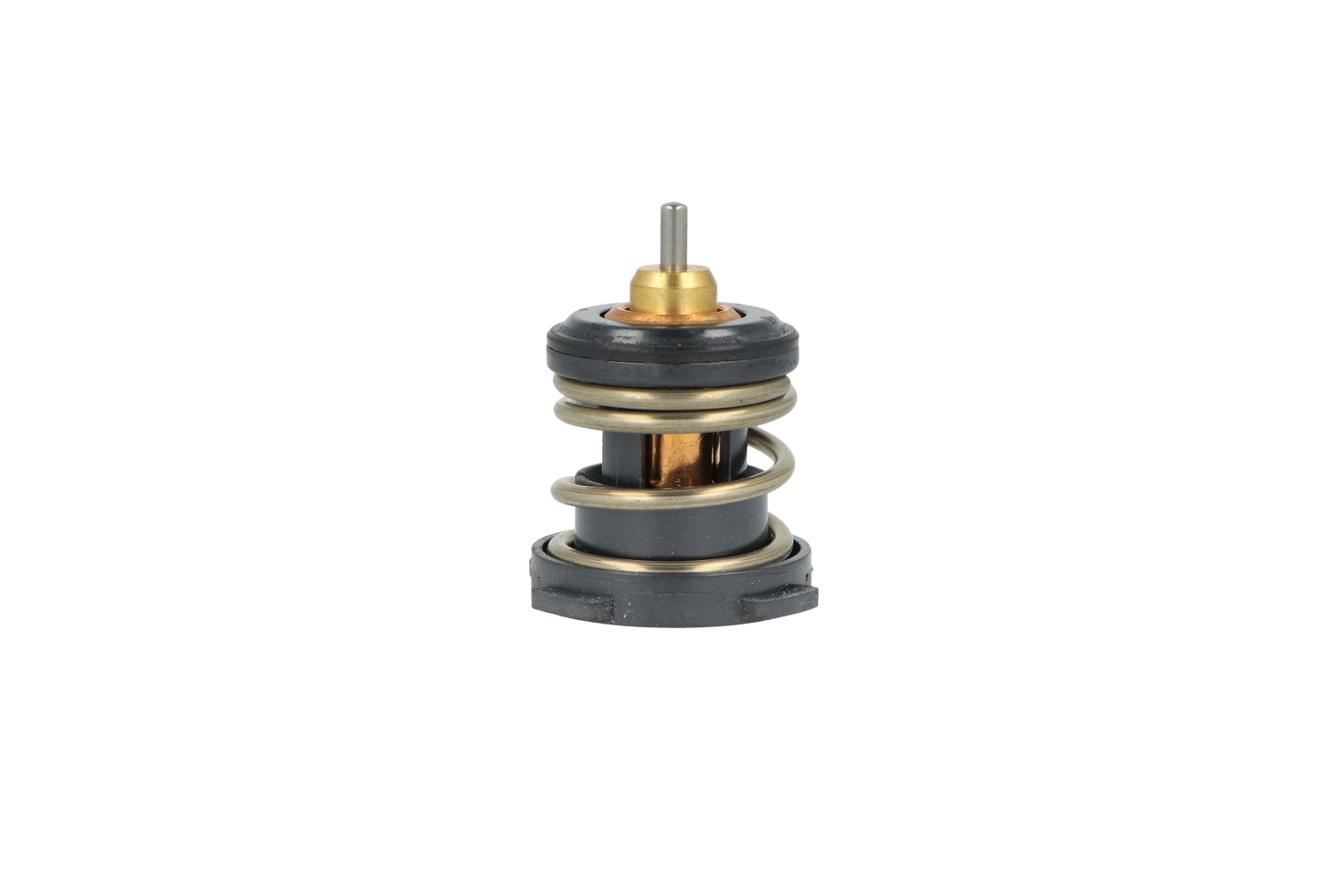 Mii Thermostat d'eau 725392 NRF