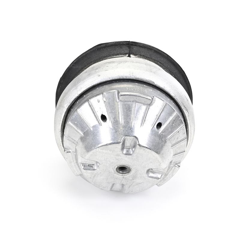 OEM 2112401517 DELPHI Supporto motore TEM144 per MERCEDES-BENZ