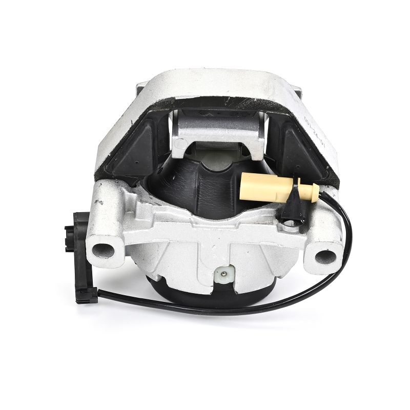 DELPHI Engine mount & gearbox mount TEM289
