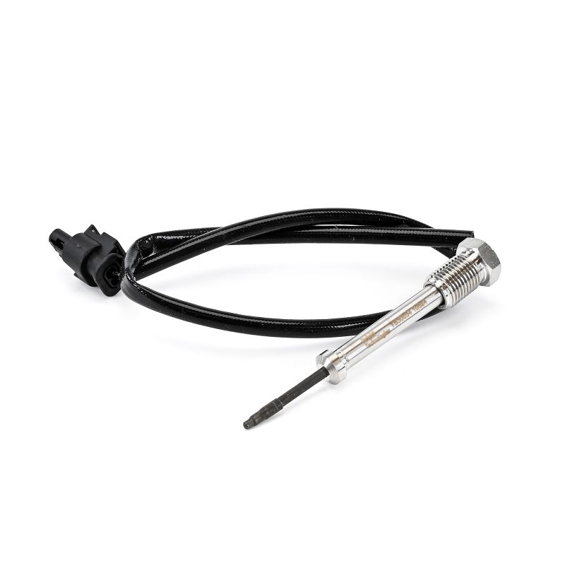 OEM 13627806254 DELPHI Sensore, Temperatura gas scarico TS30034-12B1 per BMW