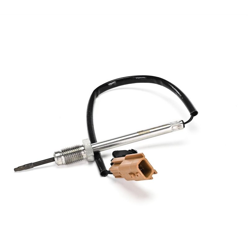 DELPHI Abgastemperatursensor (TS30412-12B1) von Ihrem RENAULT TRAFIC II Bus (JL) 2.0 dCi 90 (66 KW / 90 PS / ab 2006)