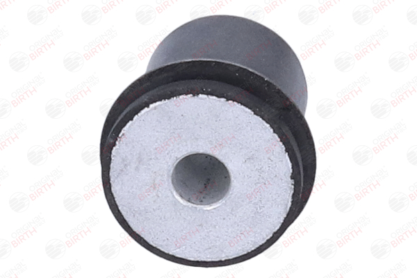OEM 8E0505185C BIRTH Feste, styrestag 20213 for VW, AUDI, SKODA, SEAT, CUPRA