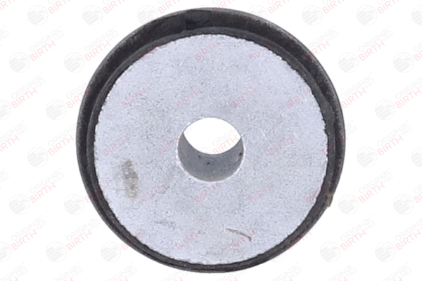 OEM 8E0505172A BIRTH Suspensión, Brazo oscilante 20220 para VOLKSWAGEN, SEAT, AUDI, FORD, SKODA