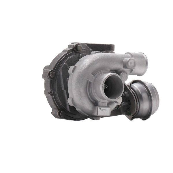 RIDEX REMAN Turbocompressor 2234C10086R Turbo RIDEX REMAN 2234C10086R