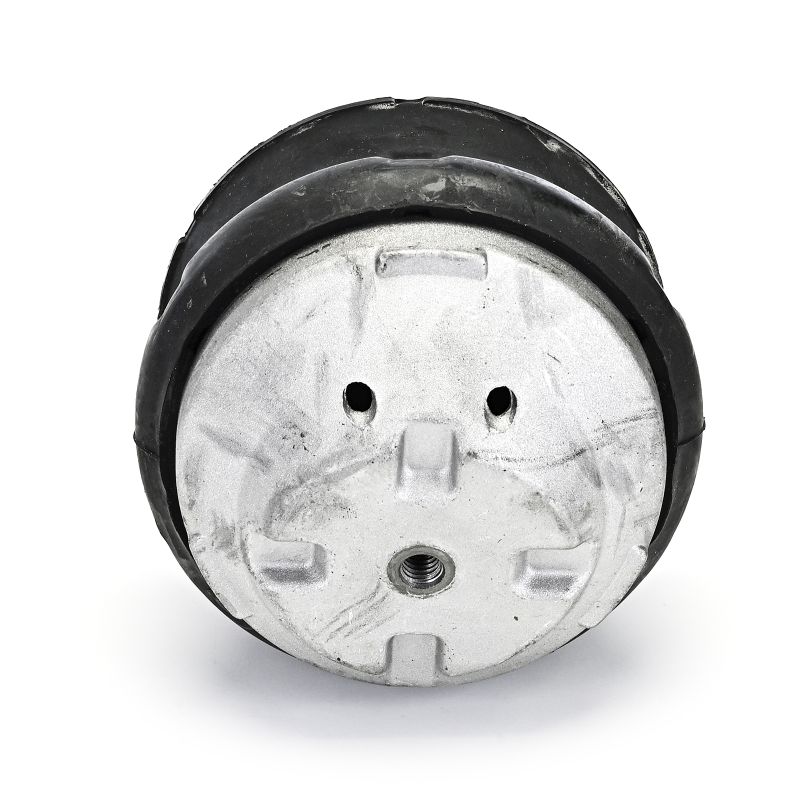 OEM 2022402117 DELPHI Moottorin tuki TEM132 varten MERCEDES-BENZ
