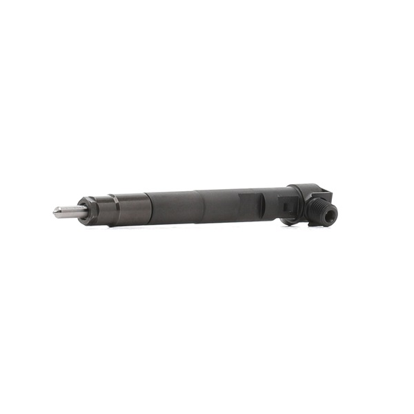 OEM A6510700587 DELPHI  Einspritzventil 28342997-12B1 für MERCEDES-BENZ