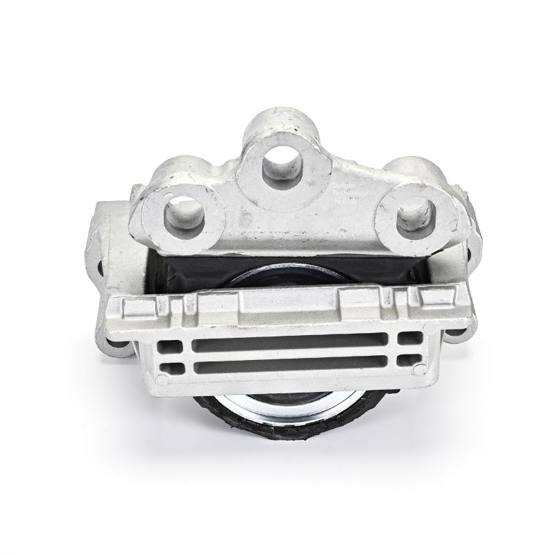 OEM 1377905 DELPHI Moottorin tuki TEM133 varten FORD