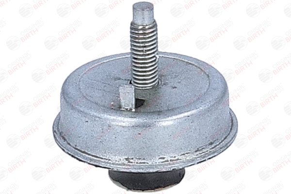 OEM 1844A2 BIRTH Moottorin tuki 57180 varten VW, PEUGEOT, CITROЁN, DS
