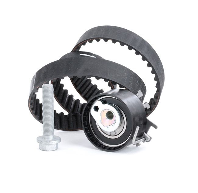 OEM 8200103069 INA Kit cinghia di distribuzione 530 0195 10 per RENAULT, NISSAN, DACIA, DAEWOO, RENAULT TRUCKS
