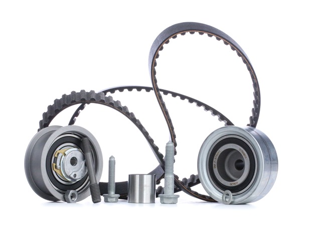 OEM 038109244P INA Registerreimsett 530 0361 10 for VW, AUDI, SKODA, SEAT