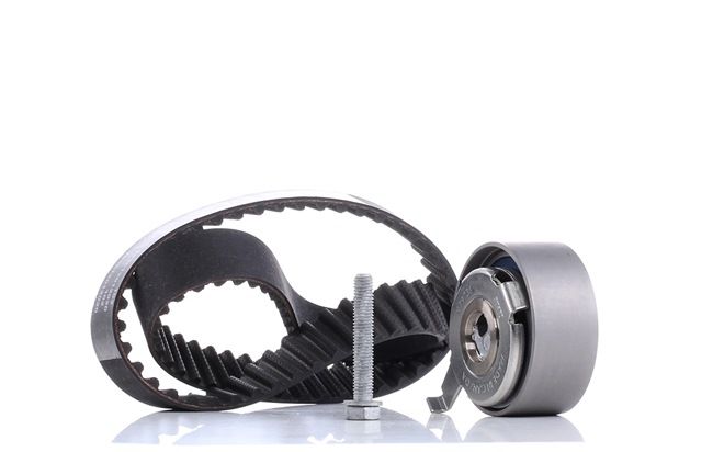 OEM 059109119D INA Timing belt kit 530 0481 10 for VW, AUDI, SKODA, SEAT