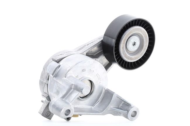 LEON Spanner, Poly V-riem 534 0059 10 INA