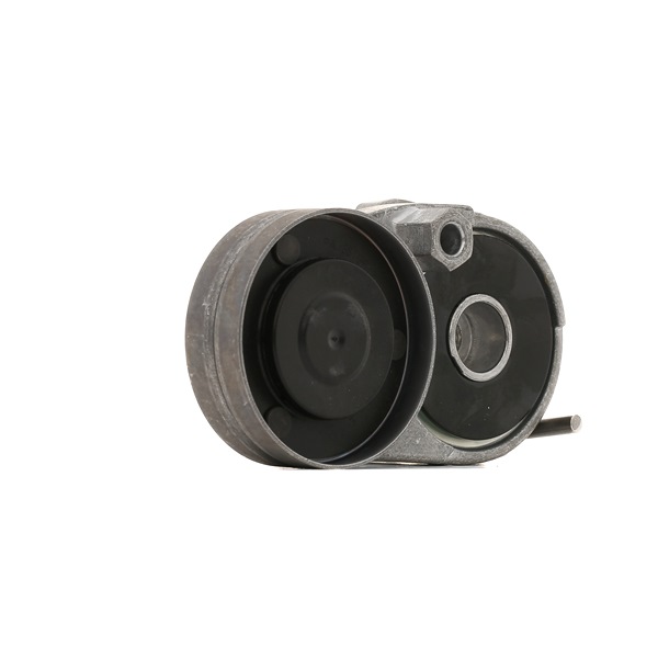 INA Riemspanner 534 0116 20